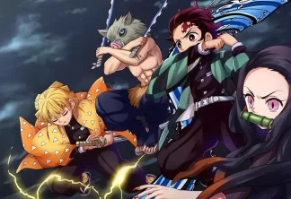 Demon Slayer 12