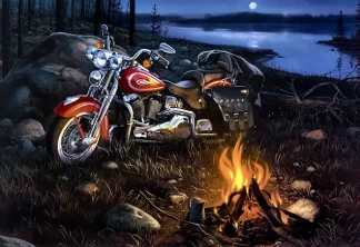 Bikers 44
