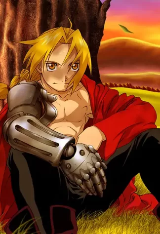 FMA 30
