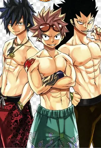 Fairy Tail 12