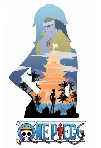 One Piece 19