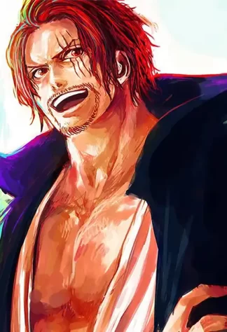 One Piece 25
