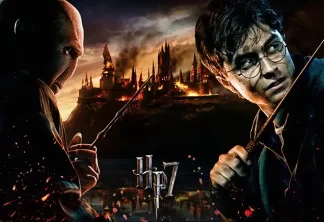 Harry Potter 12