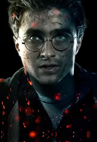 Harry Potter 15