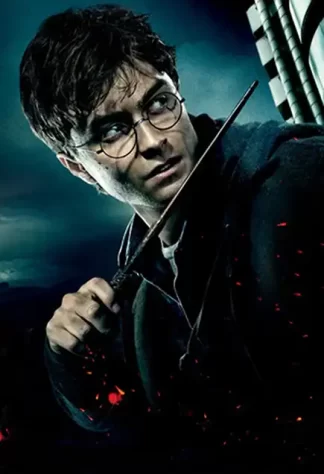 Harry Potter 19