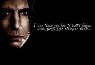 Harry Potter 22