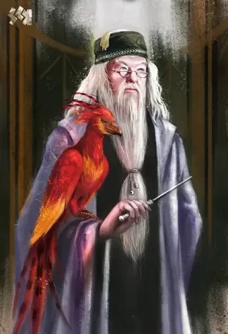 Harry Potter 23