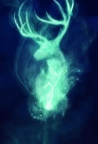 Harry Potter 32