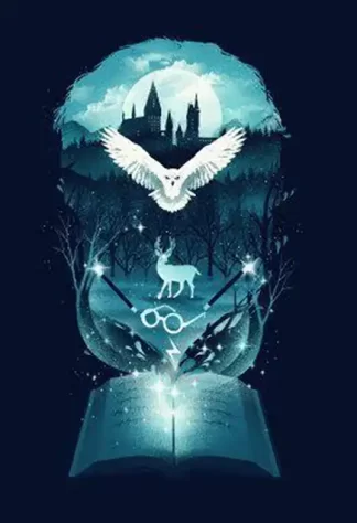 Harry Potter 33