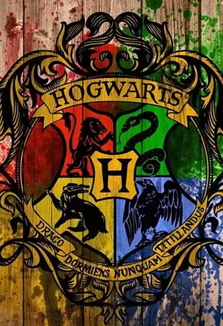 Harry Potter 34