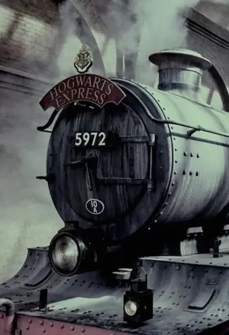 Harry Potter 38