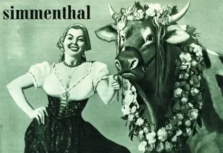 Pubblicità 42 Simmenthal
