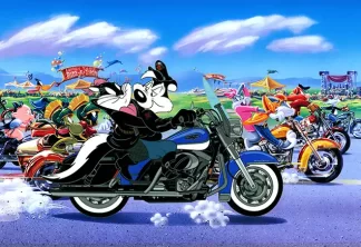 Bikers 40