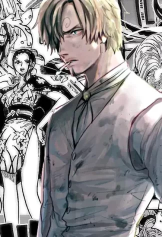 One Piece 43